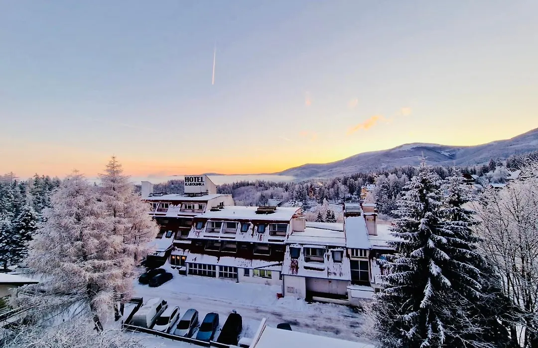 Karpacki & Spa - Blisko Wyciagu, Restauracja, Sala Zabaw, Bar 24H (Adults Only)-1